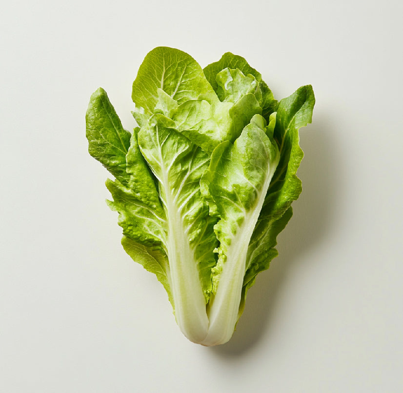 Semi Di Lattuga Misto - 16 Varietà Rare, 100 Semi Ciascuna, Naturali E Raccolti A Mano In Portogallo, Per Orto E Balcone - Foto 3