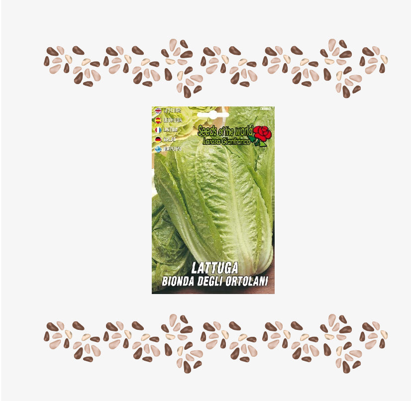 Semi di Lattuga - Coltiva Lattuga Fresca e Croccante nel Tuo Orto